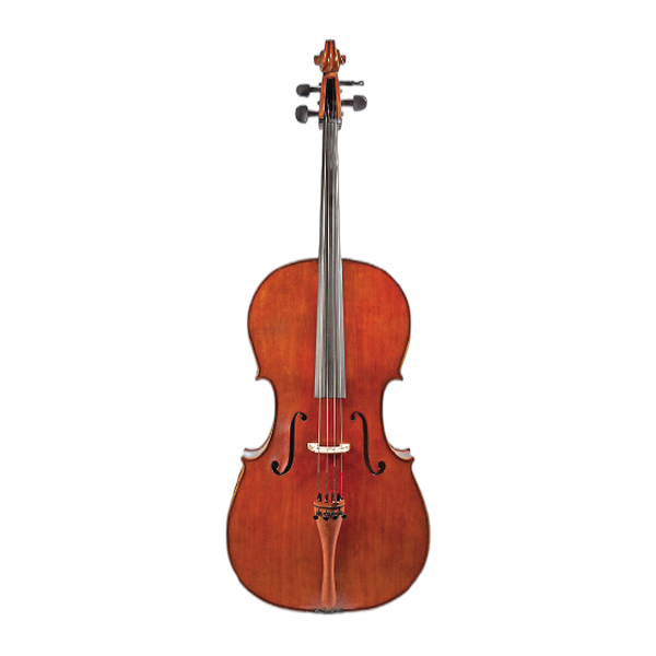 White Label student cello, the line most beginning cellists start on