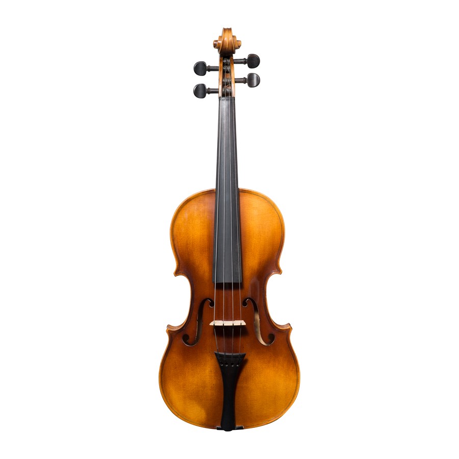Euro Label viola, a vintage European instrument, front view