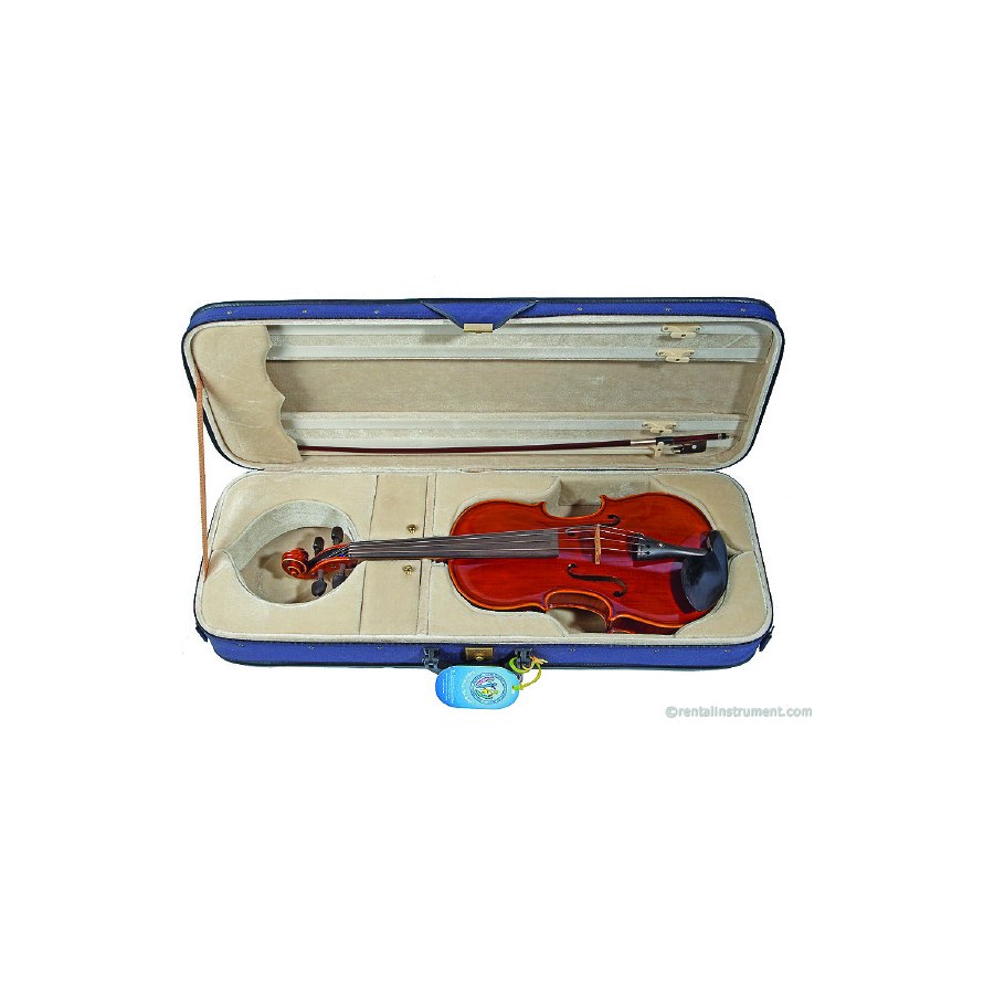 White Label viola in its case with bow and rosin, ready to rent