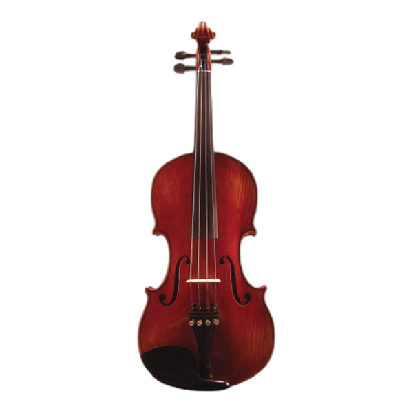 Student viola available to rent for school orchestra