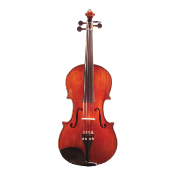 Black Label violin, front view, showing the flamed maple and oil varnish