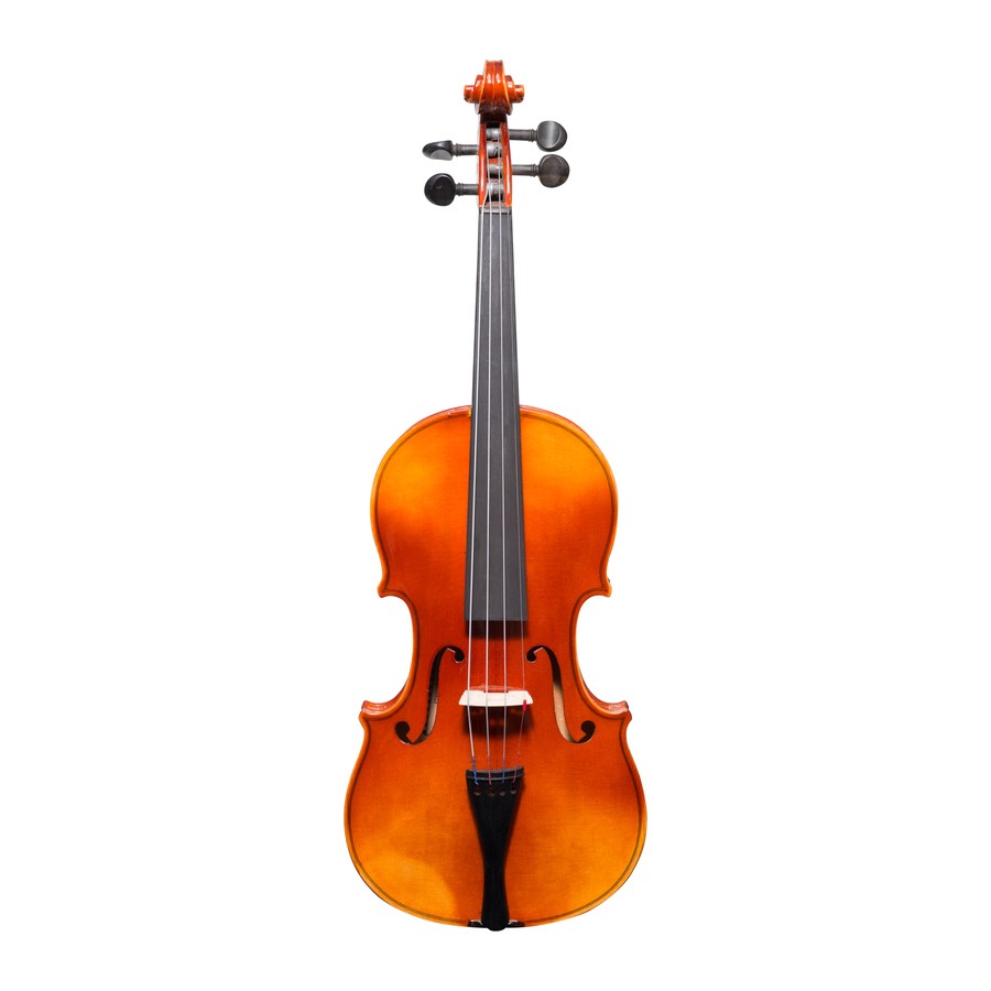 Euro Label violin, a vintage European instrument, front view